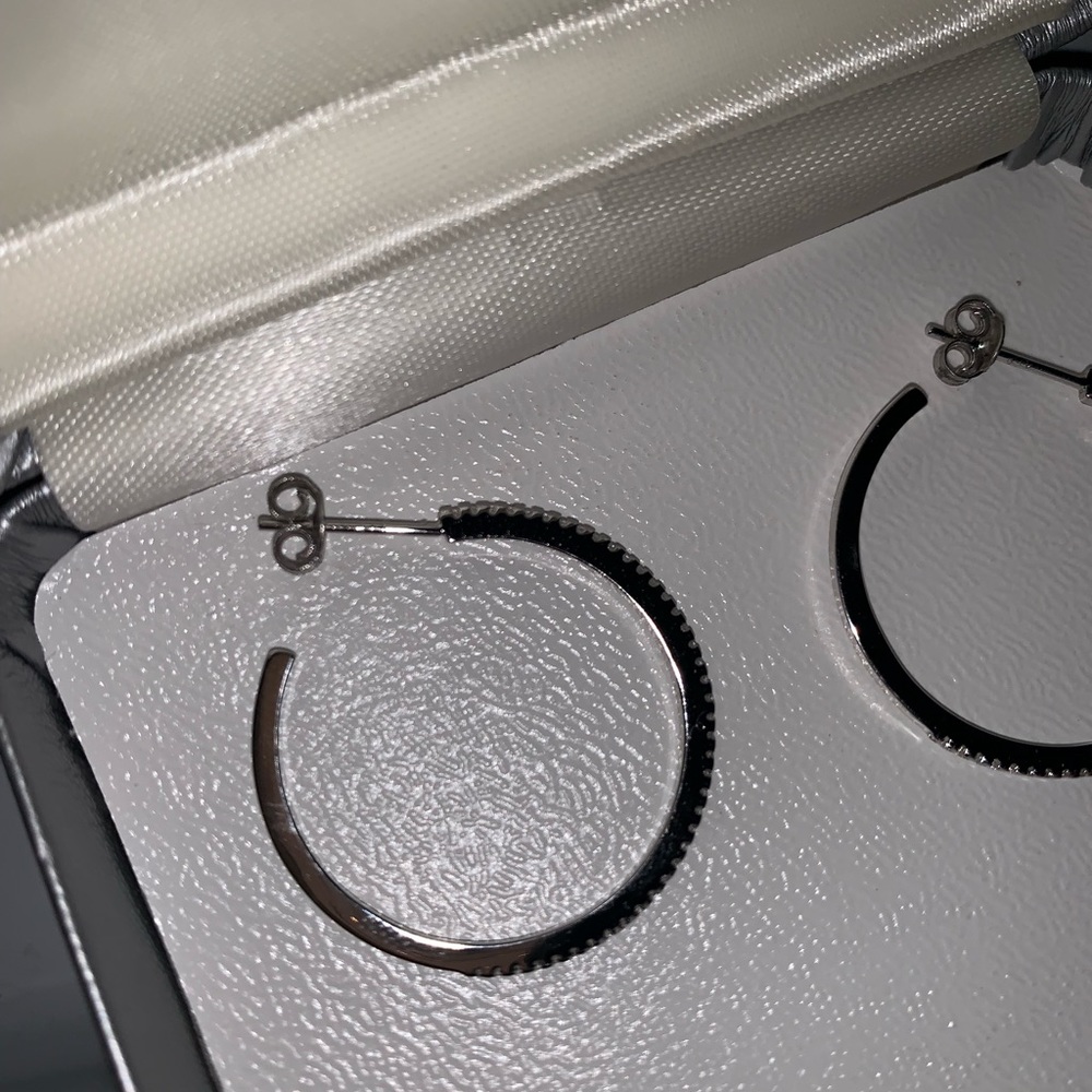 Hoop Earrings